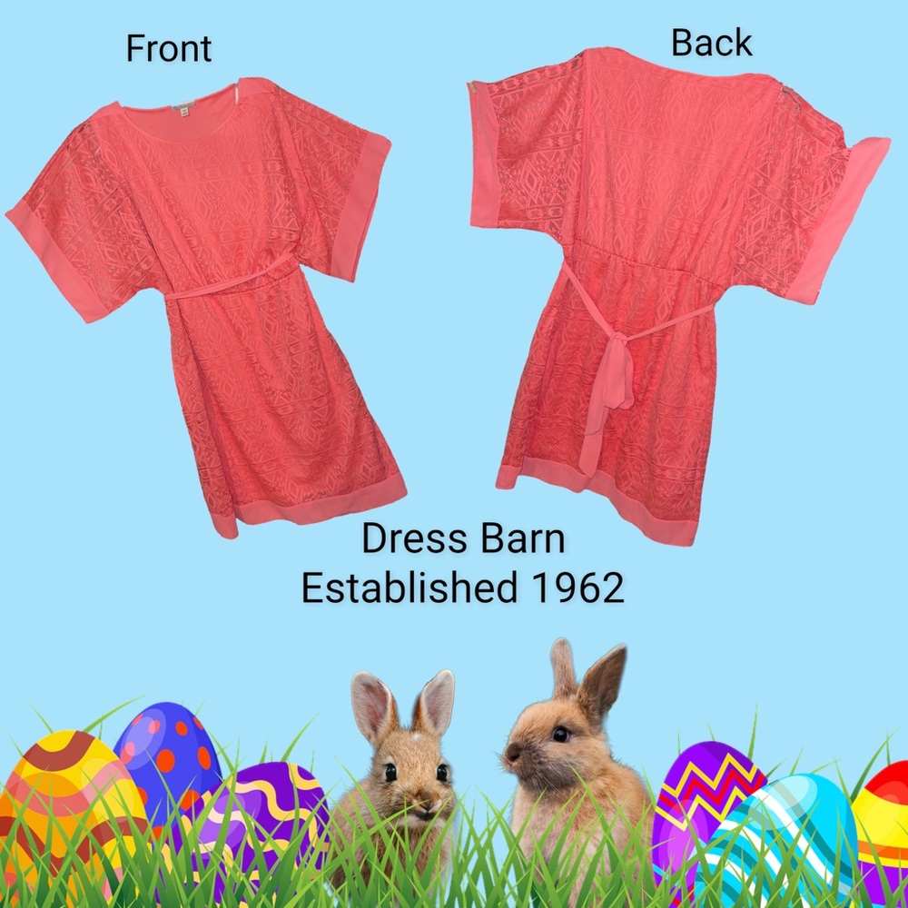 Dress Barn: Established 1962 Dress